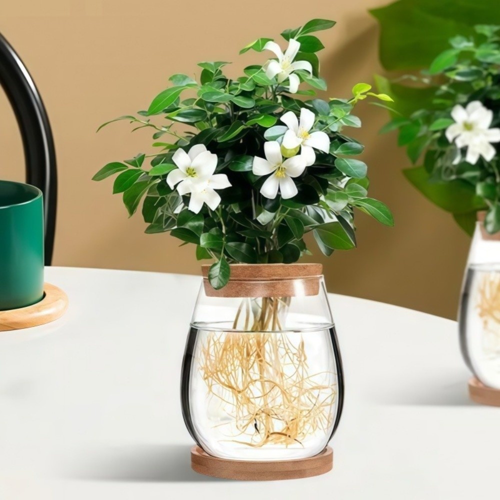 Propagation Station Vase - Transparent Hydroponic Flowerpot with Wooden Tray