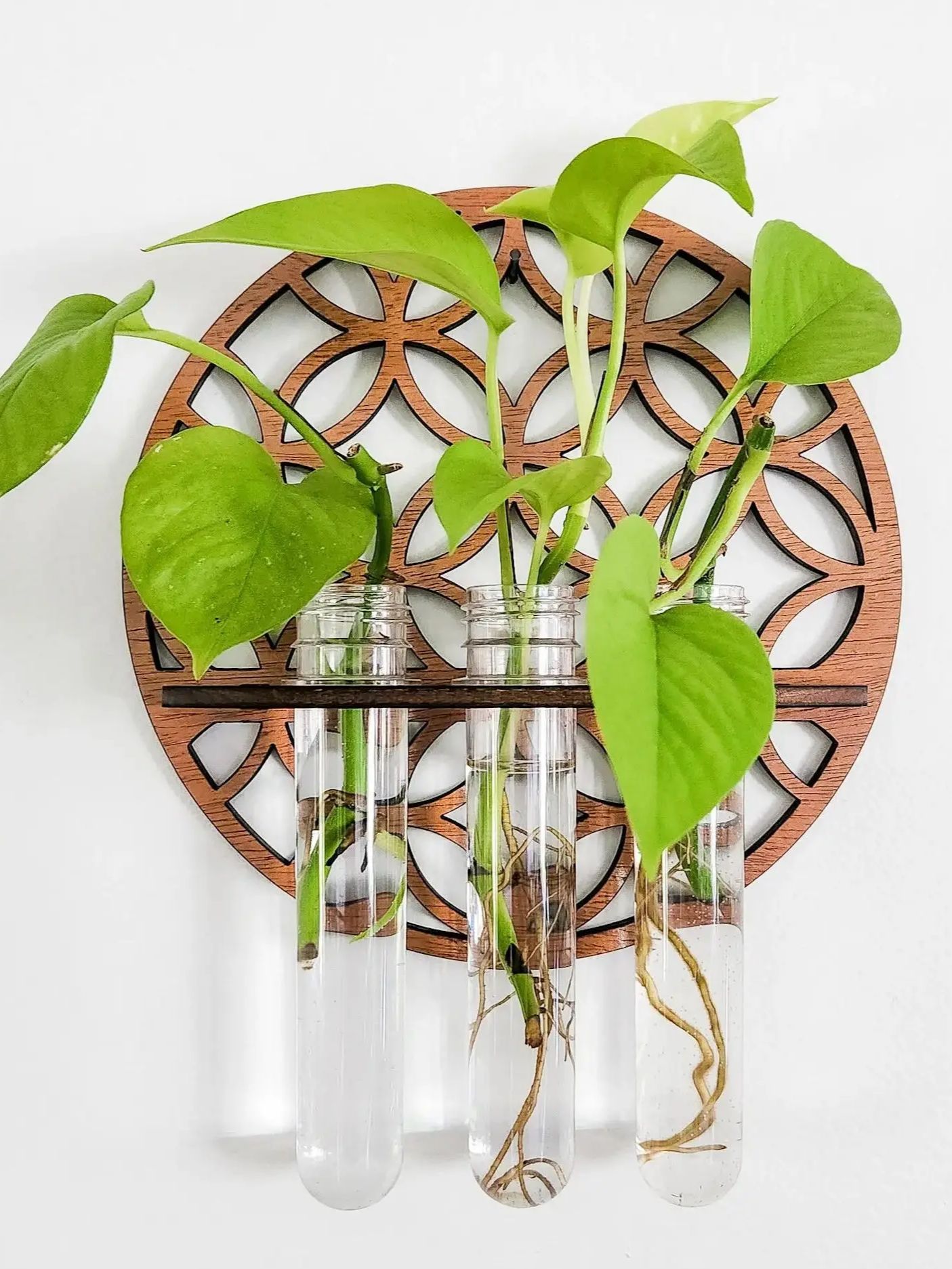 Garden Wall Planters Indoor Wo - огляд і ціна Propagation Station Vase