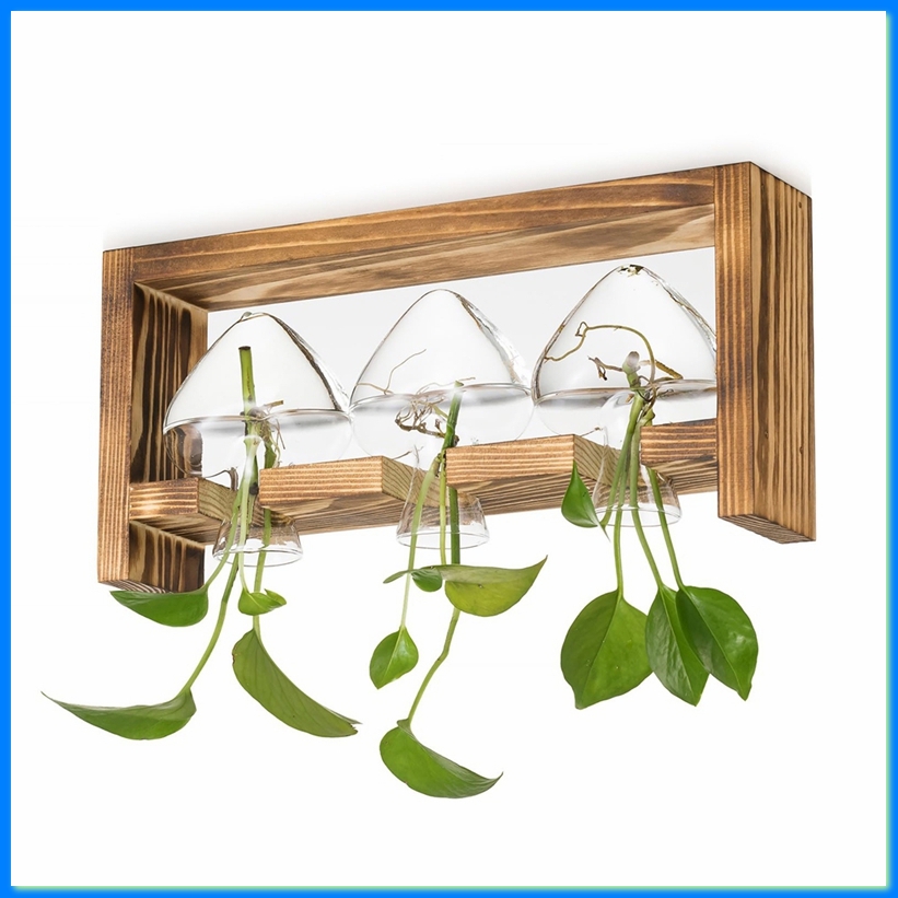 Glass Propagation Station for  - огляд і ціна Propagation Station Vase
