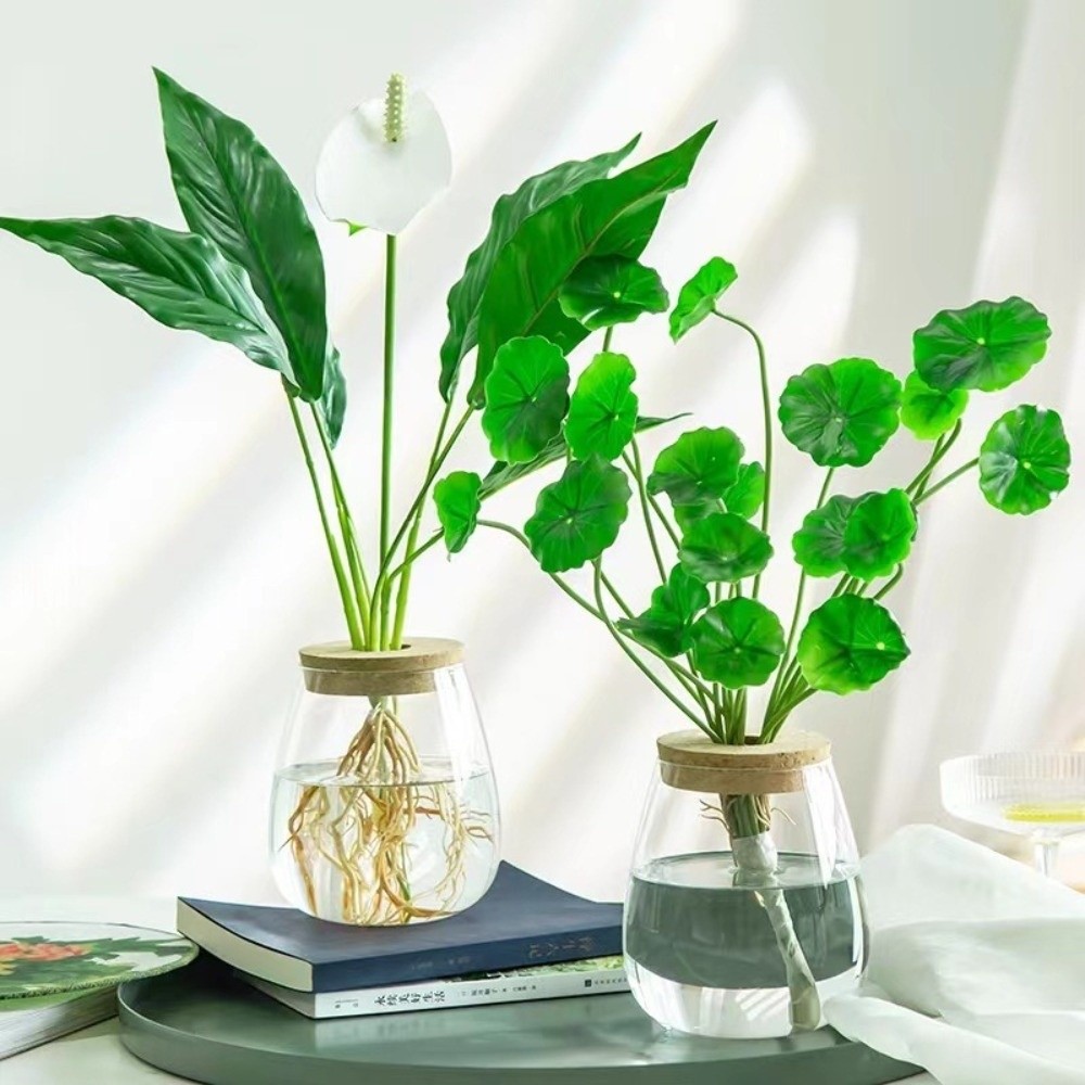 Transparent Hydroponic Flowerp - огляд і ціна Propagation Station Vase