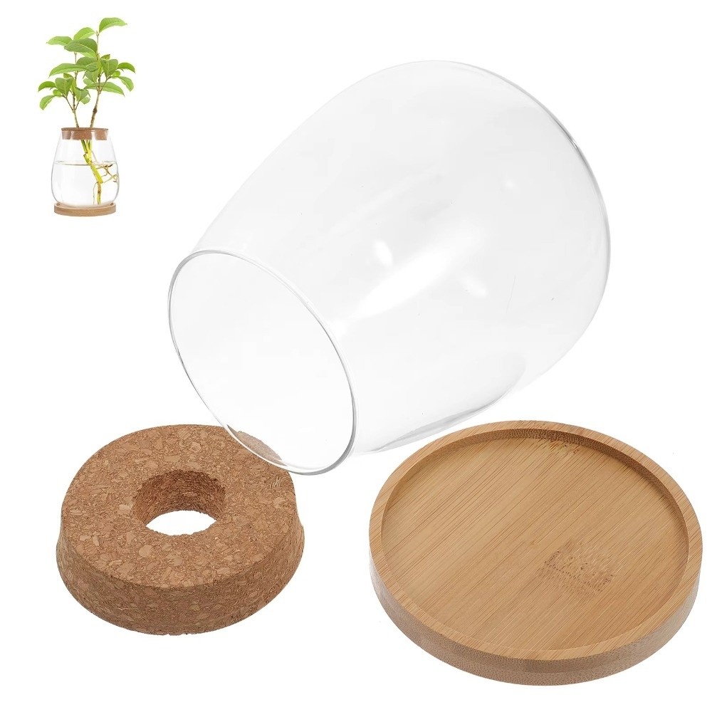 Transparent Hydroponic Flowerp - огляд і ціна Propagation Station Vase
