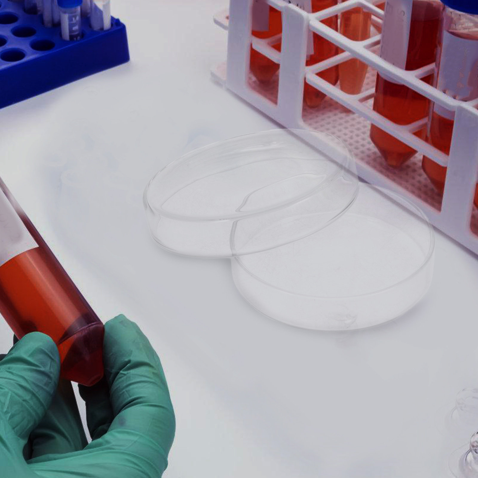 High Borosilicate Glass Petri  - огляд і ціна Agar Tissue Culture