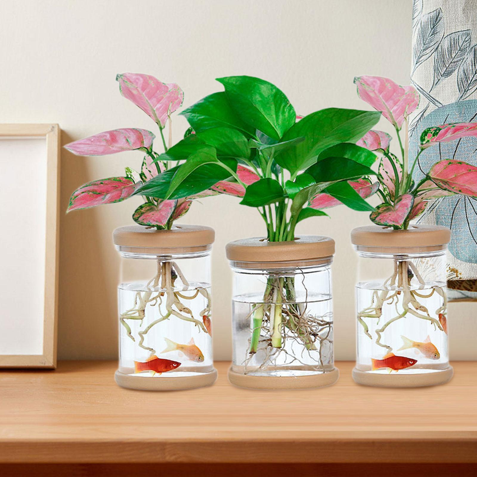 3Pcs Hydroponics Flower Vases  - огляд і ціна Propagation Station Vase