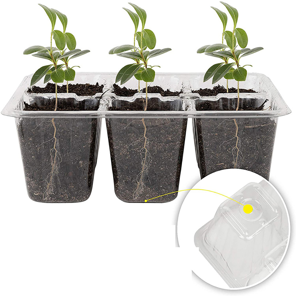Seed Starter Trays with Grow L - огляд і ціна Humidity Dome Kit