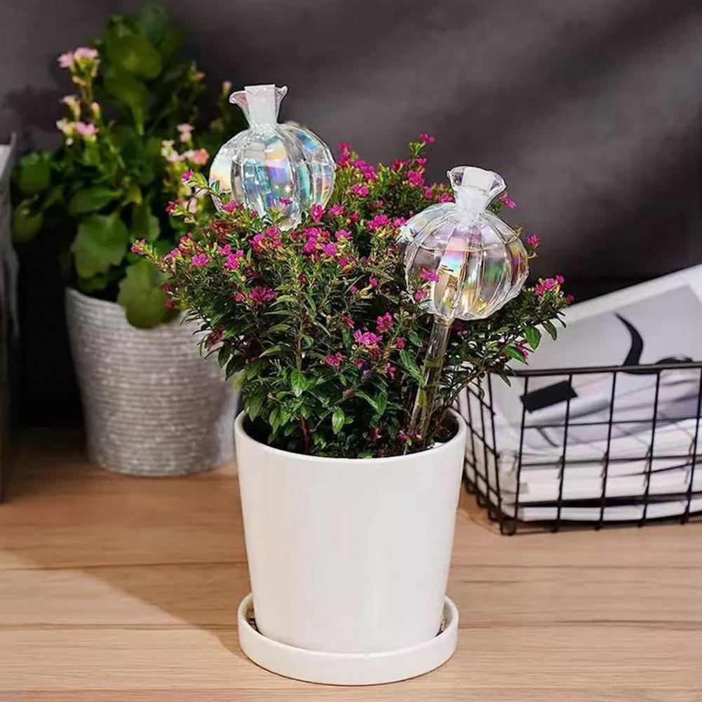 24cm Cactus Self Watering Bulb - огляд і ціна Self Watering Insert