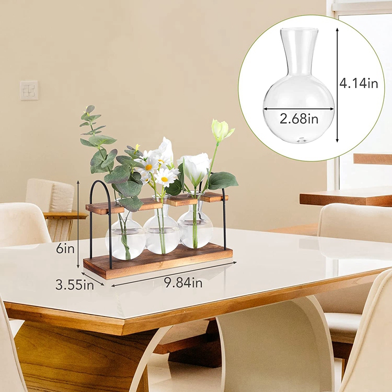 Plant Propagation Station with - огляд і ціна Propagation Station Vase