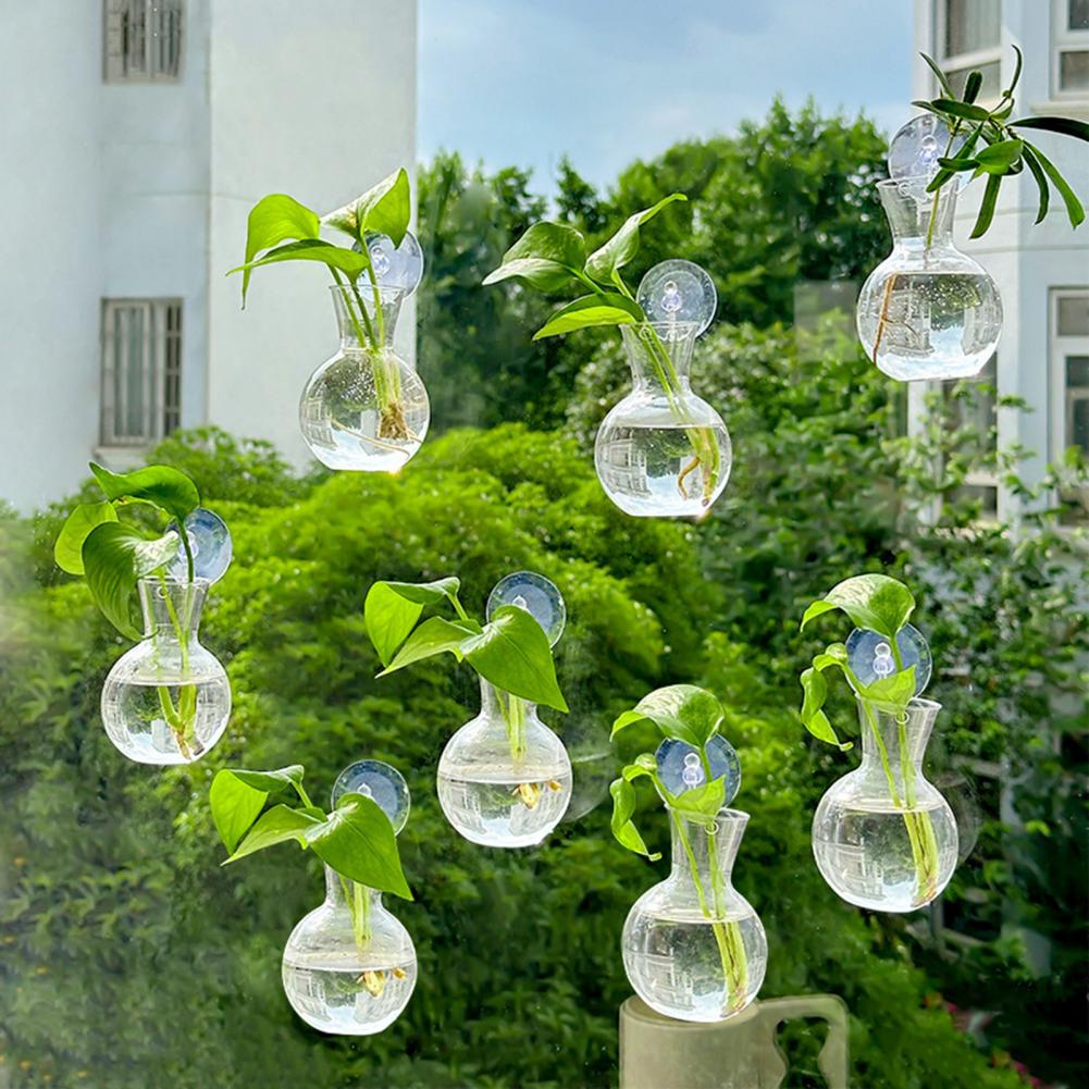 1/2/3/4/6/8Pcs Plant Propagati - огляд і ціна Propagation Station Vase