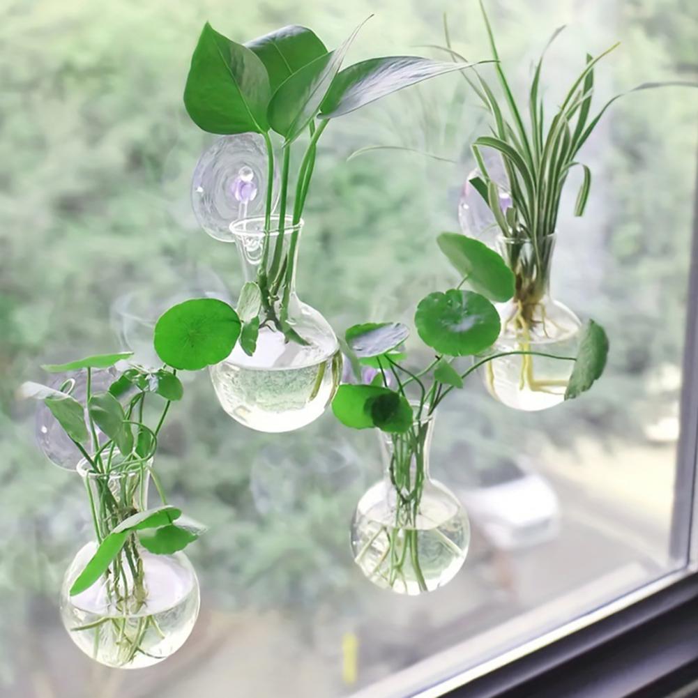 1/2/3/4/6/8Pcs Plant Propagati - огляд і ціна Propagation Station Vase