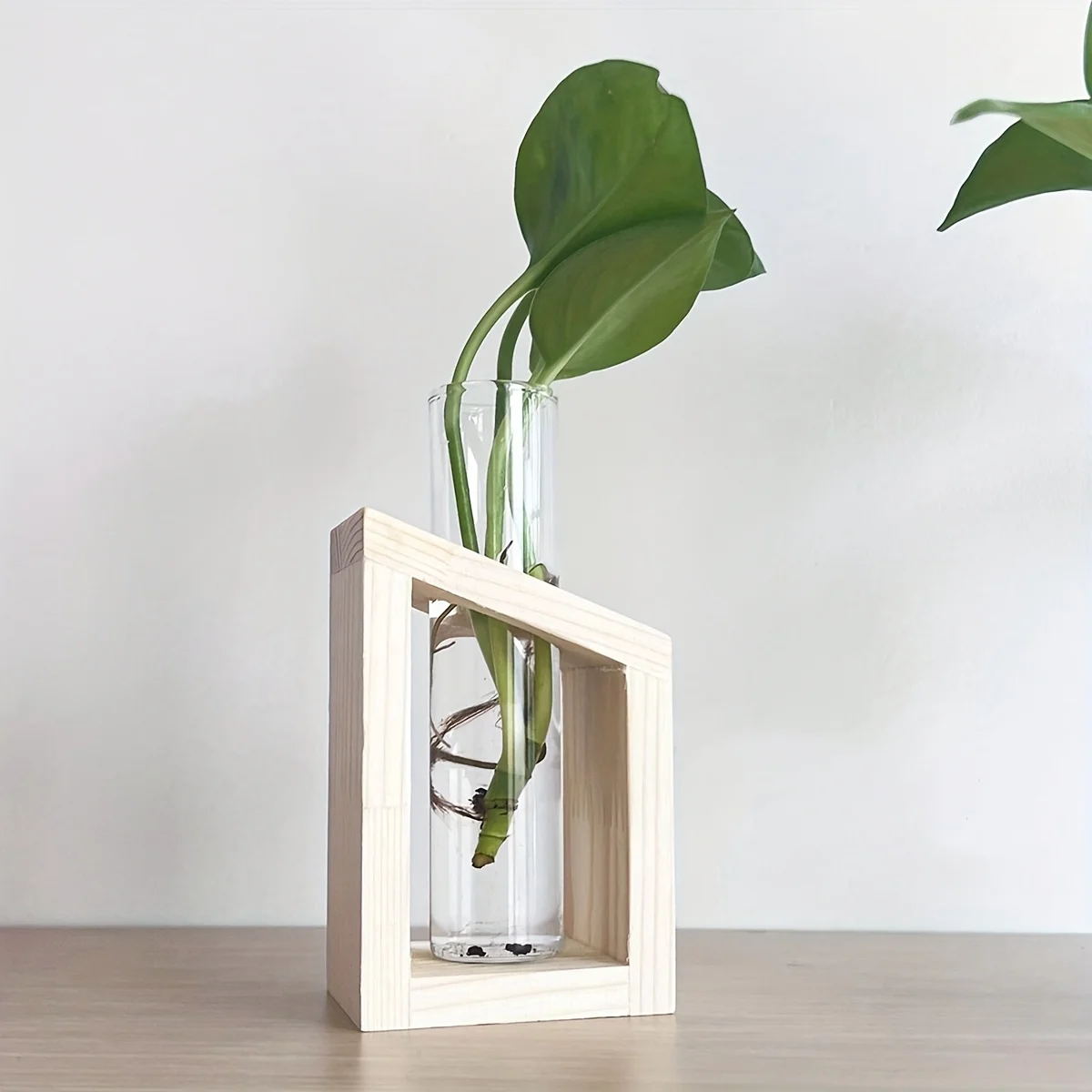 Test Tube Glass Vase Plant Pro - огляд і ціна Propagation Station Vase