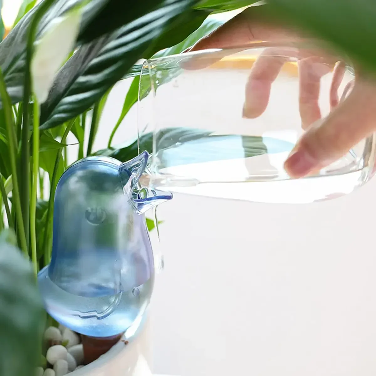 High quality automatic flower  - огляд і ціна Self Watering Insert