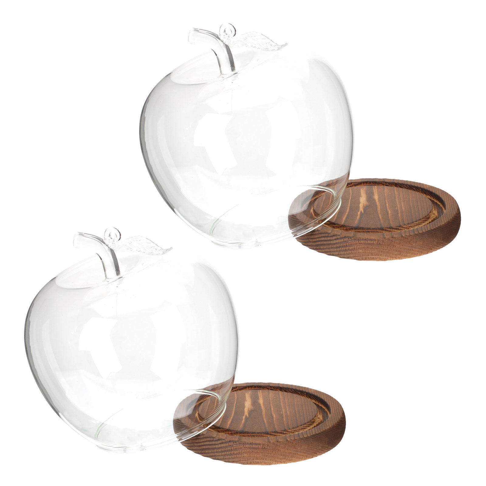 2Pcs Glass Cloche Dome with Wo - огляд і ціна Plastic Dome Clear